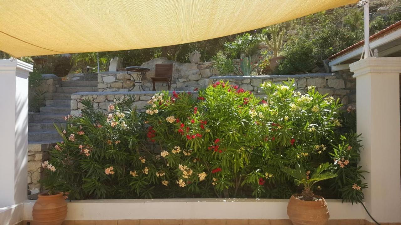 Tranquil Villa With Sea View In Ammopi Karpathos أموبي المظهر الخارجي الصورة